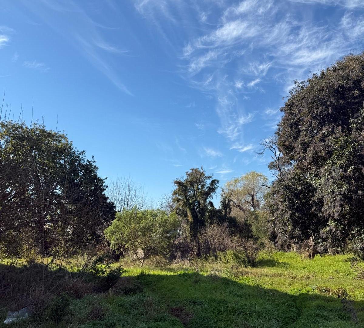Foto de Terreno en Belen De Escobar, imagen 5