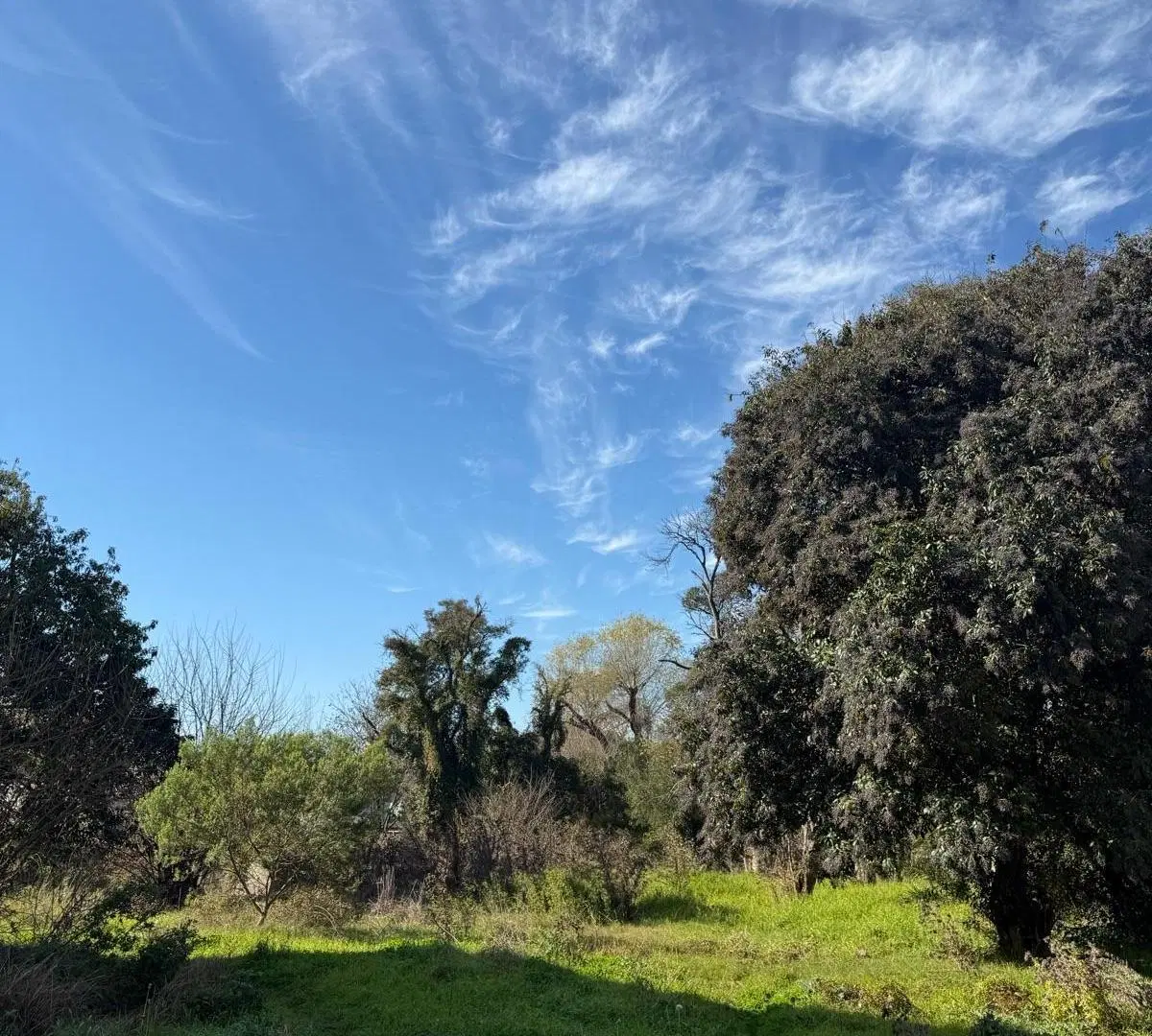 Terreno en Belen De Escobar 4
