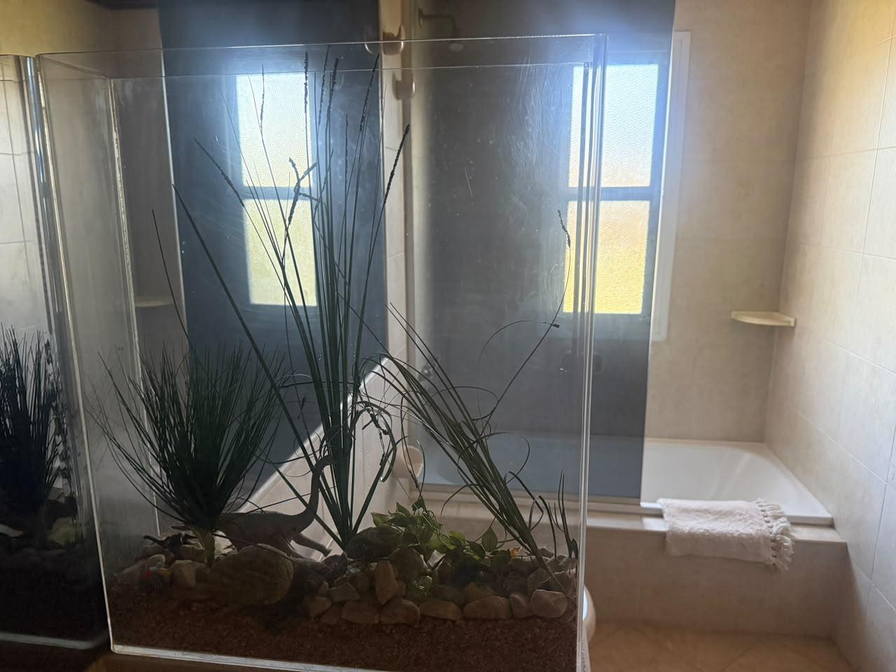 Foto de Casa en ALQUILER en SAINT MATTHEWS Villa Rosa Pilar, imagen 5