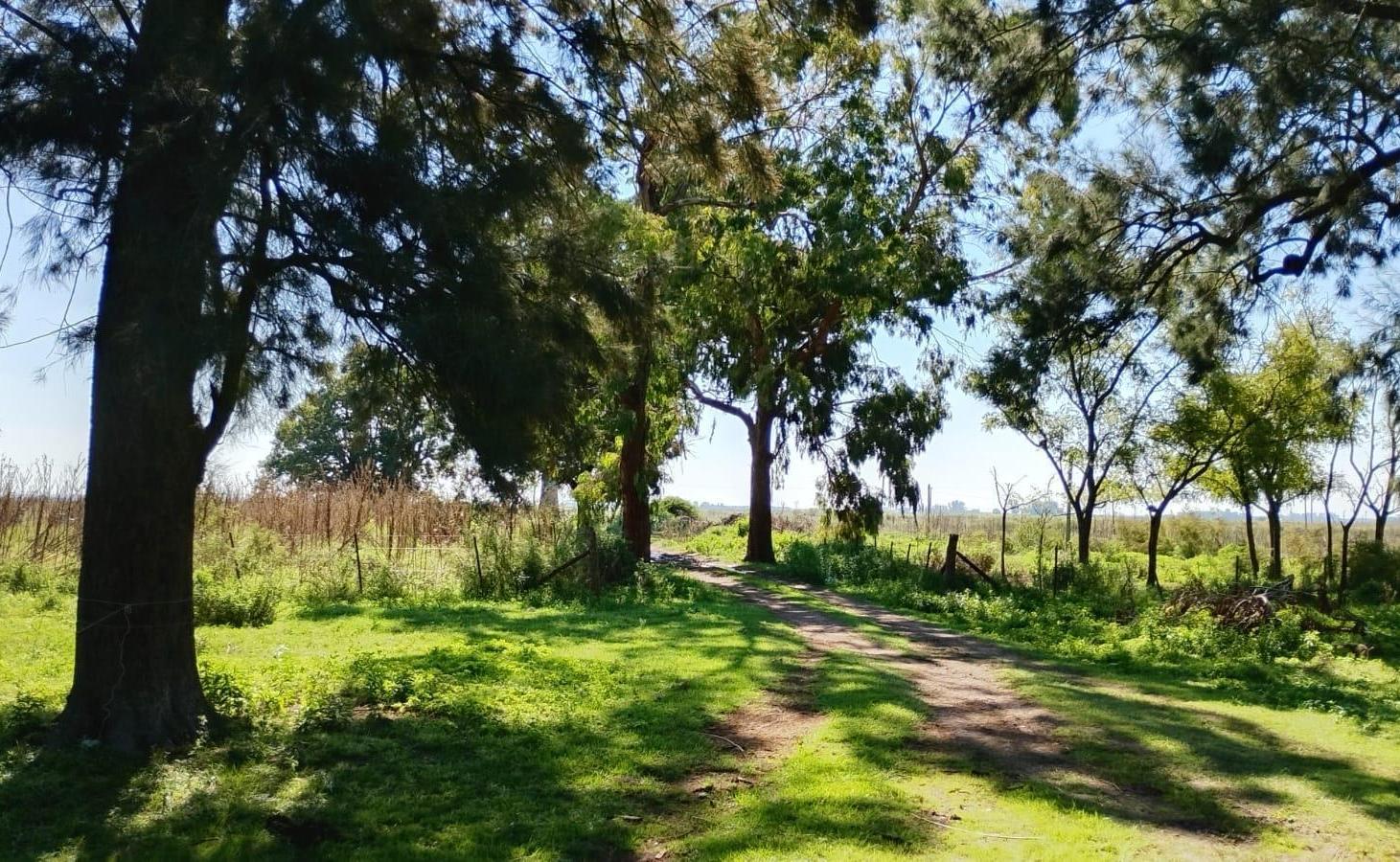 Foto de Chacra - San Vicente, imagen 5