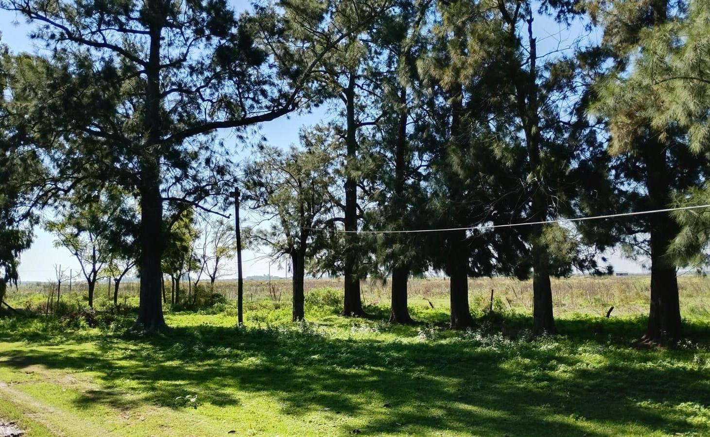 Foto de Chacra - San Vicente, imagen 1