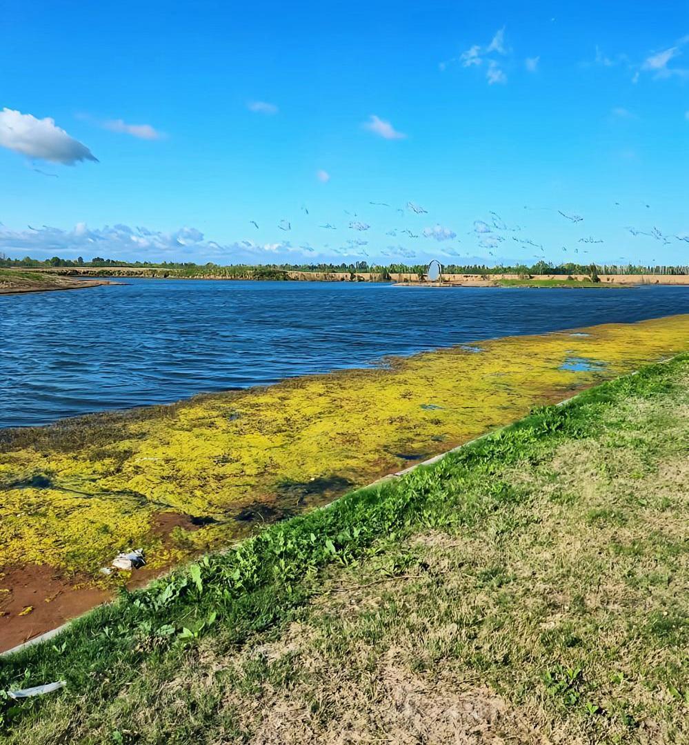Foto de Venta Lote al Lago Barrio Amarras Puertos del Lago Escobar, imagen 1