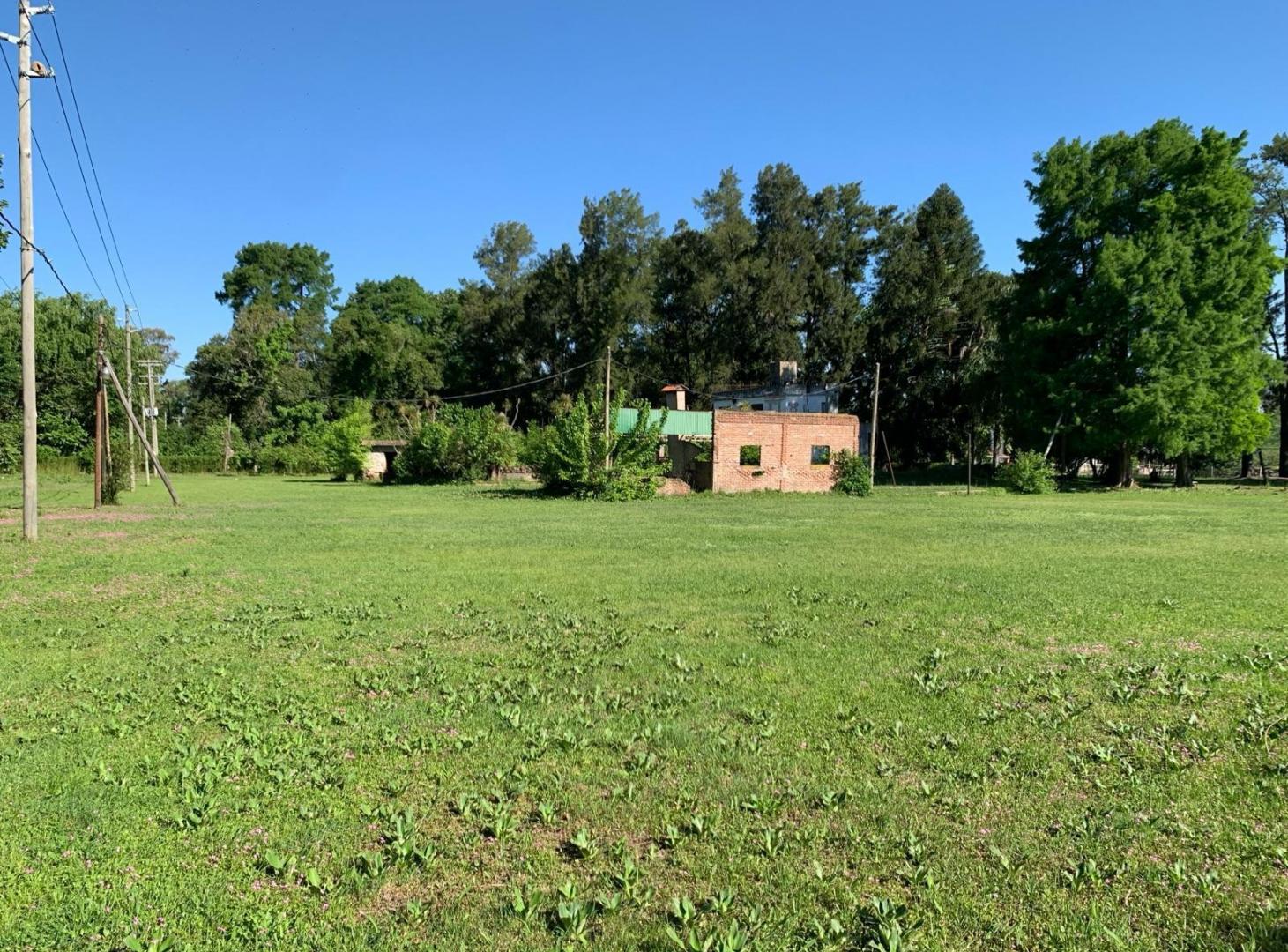 Foto de Venta de lote de 1 hectárea en primera sección de islas del delta, imagen 5