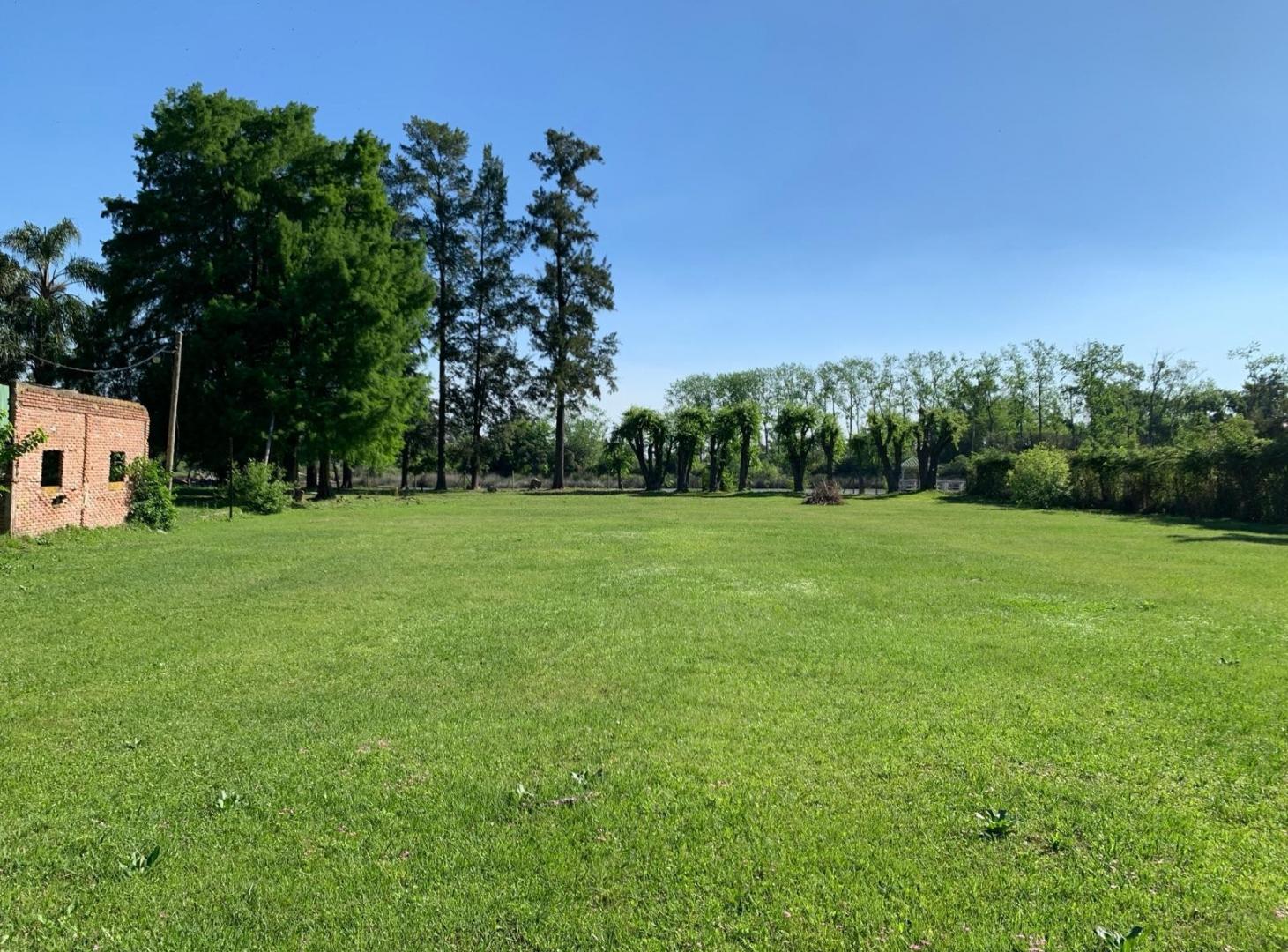 Foto de Venta de lote de 1 hectárea en primera sección de islas del delta, imagen 1