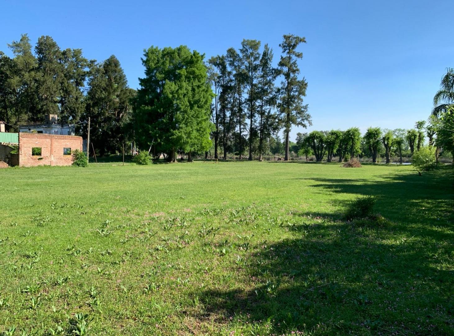 Foto de Venta de lote de 1 hectárea en primera sección de islas del delta, imagen 3