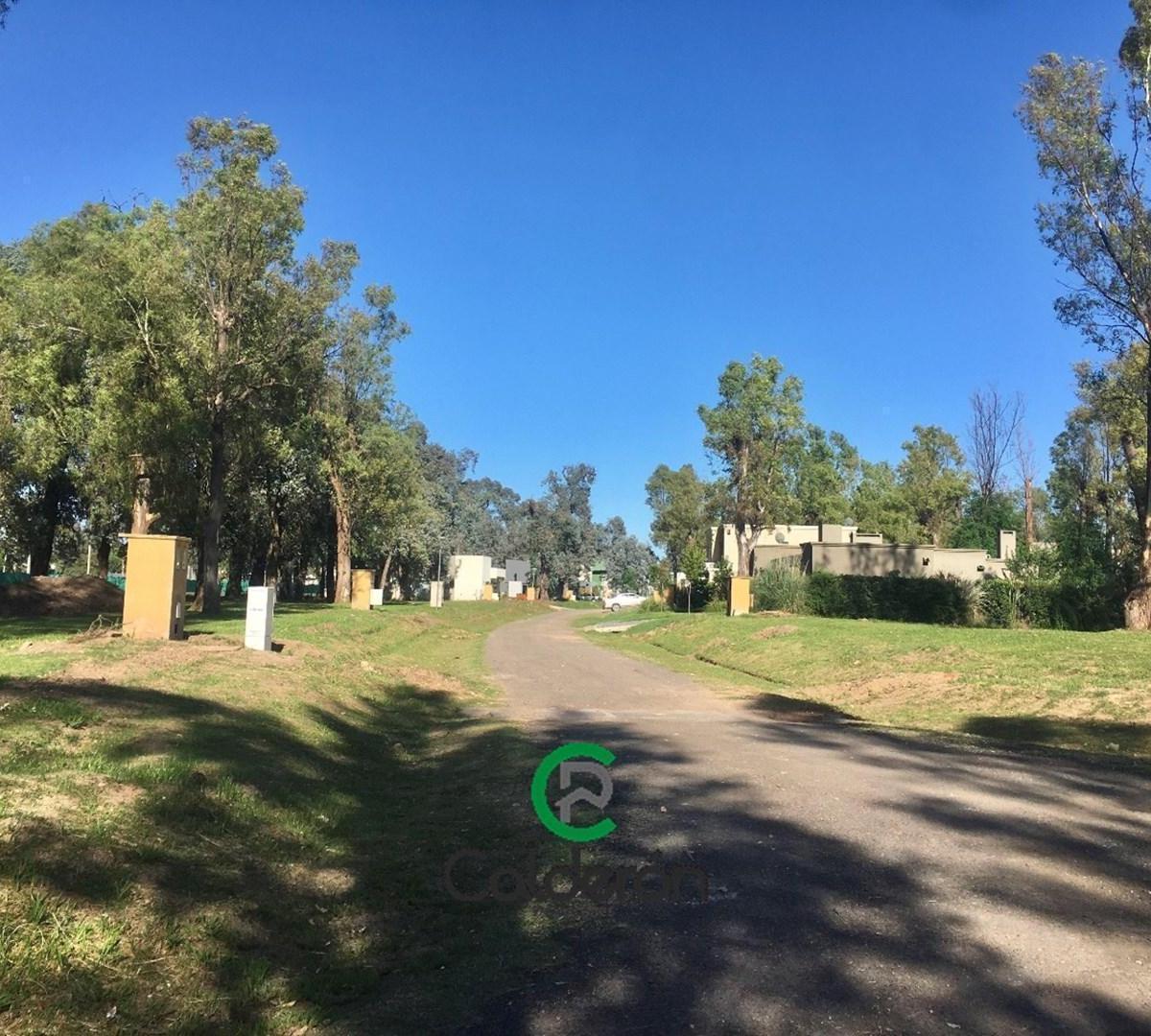 Terreno Lote en Venta en Francisco Álvarez