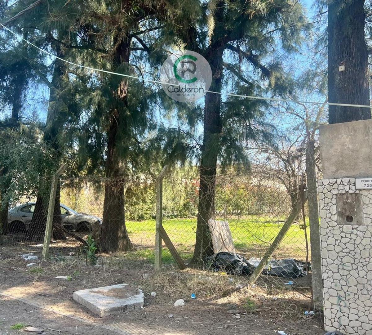 Foto de Terreno Lote Comercial en Venta Ituzaingo, imagen 5