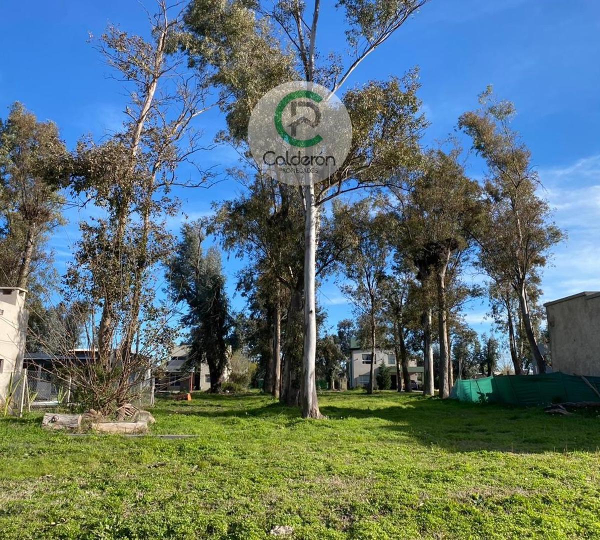 Terreno en Venta Barrio Cerrado Alvarez del  Bosque