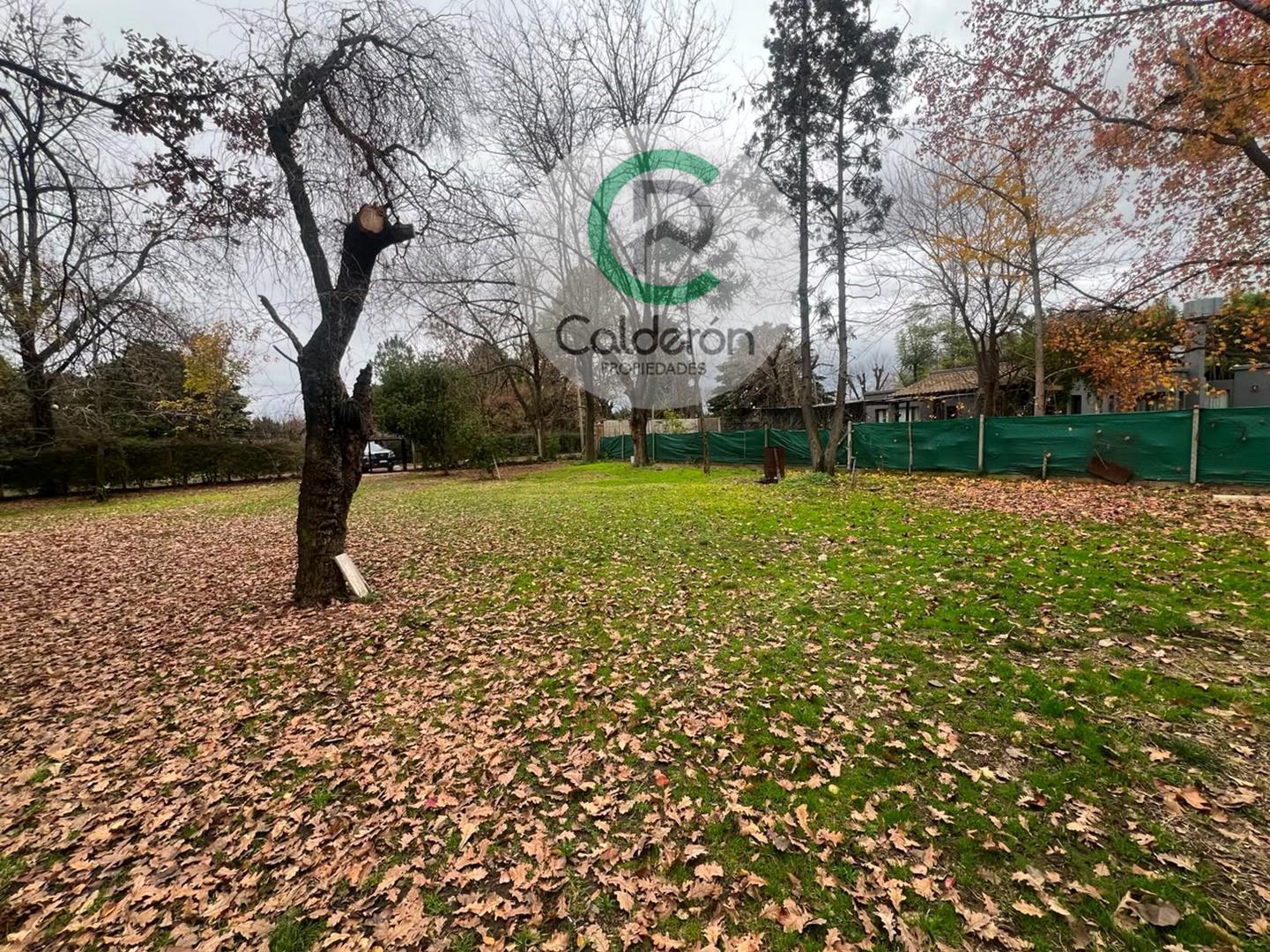Imagen de la propiedad