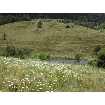 Lotes en Loteo Intiyaco (Cno. a Athos Pampa) 4