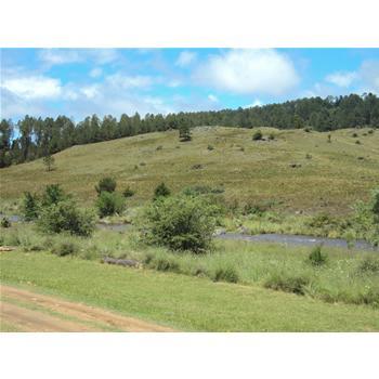 Lotes en Loteo Intiyaco (Cno. a Athos Pampa) 3