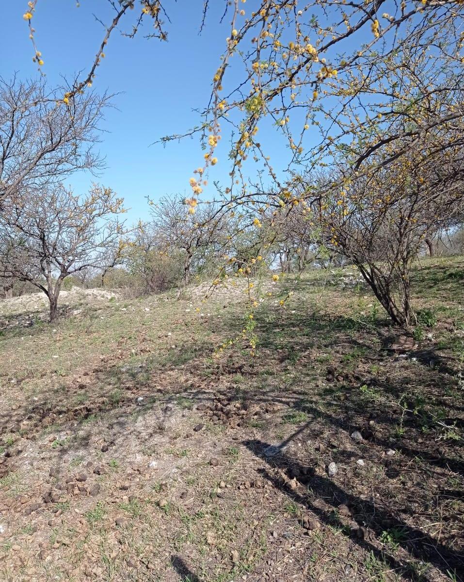 Lote en Los Aromos - Cordoba 2