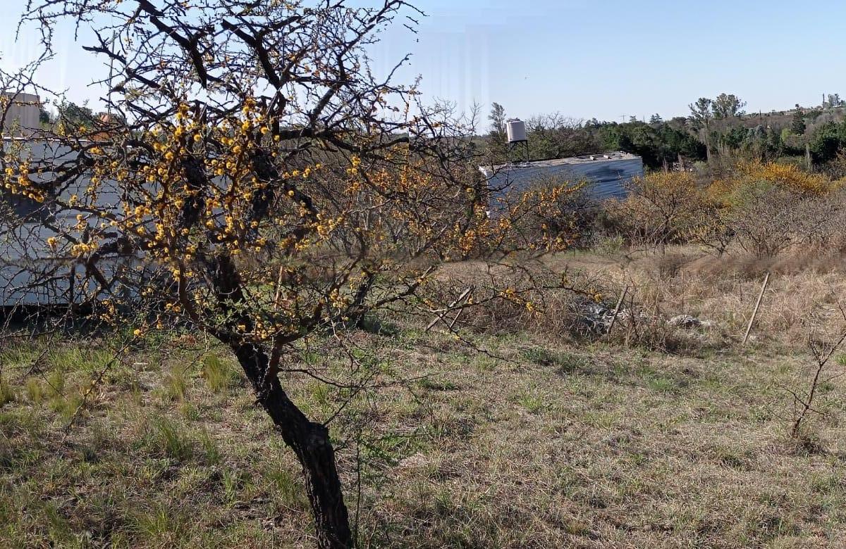 Lote en Los Aromos - Cordoba 1