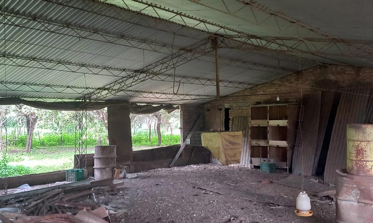 Foto de Hectárea y 1/2+casas+galpones en Santa Ana, imagen 5