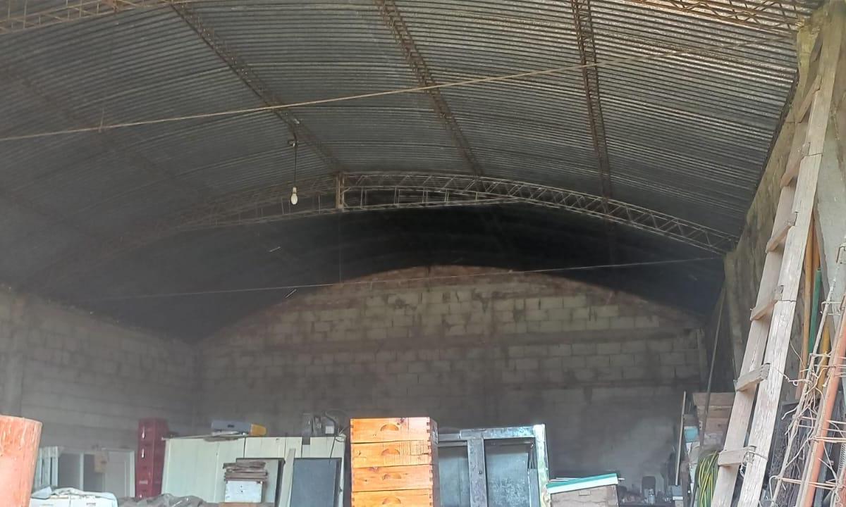 Foto de Hectárea y 1/2+casas+galpones en Santa Ana, imagen 2