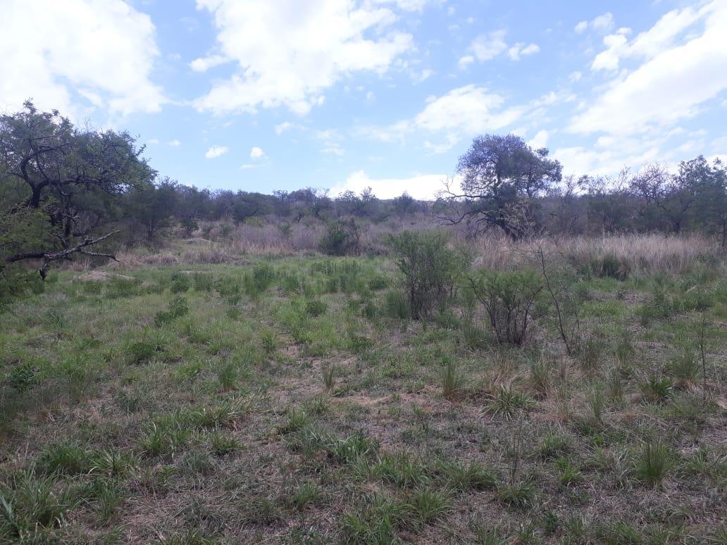 Fraccion de 2500 m² Entre Aromos y Paisanita 2
