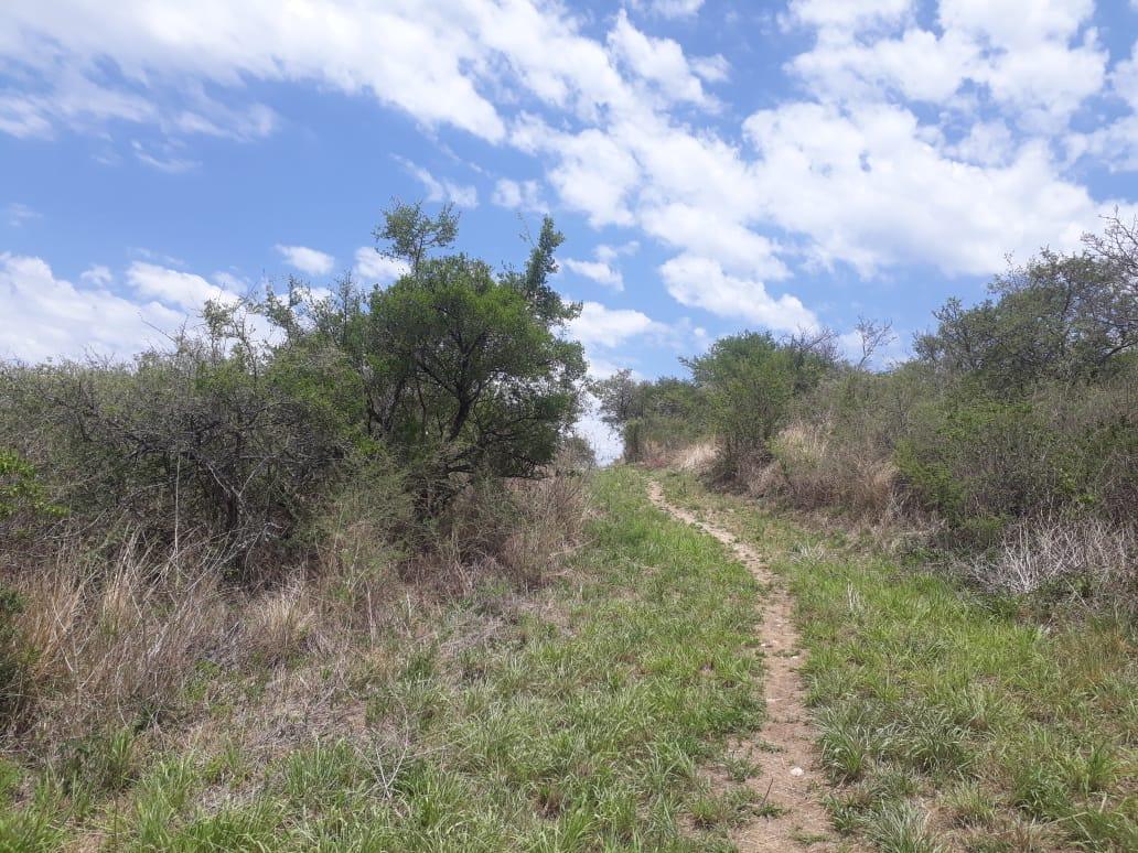 Fraccion de 2500 m² Entre Aromos y Paisanita 3