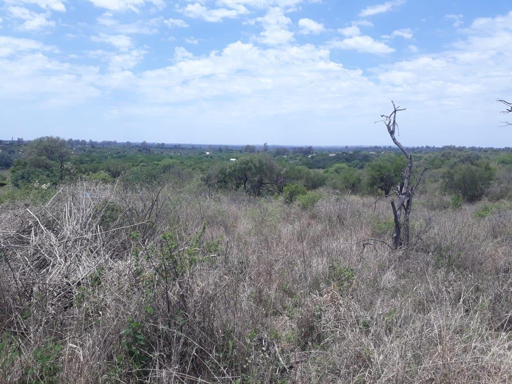 Fraccion de 2500 m² Entre Aromos y Paisanita 4