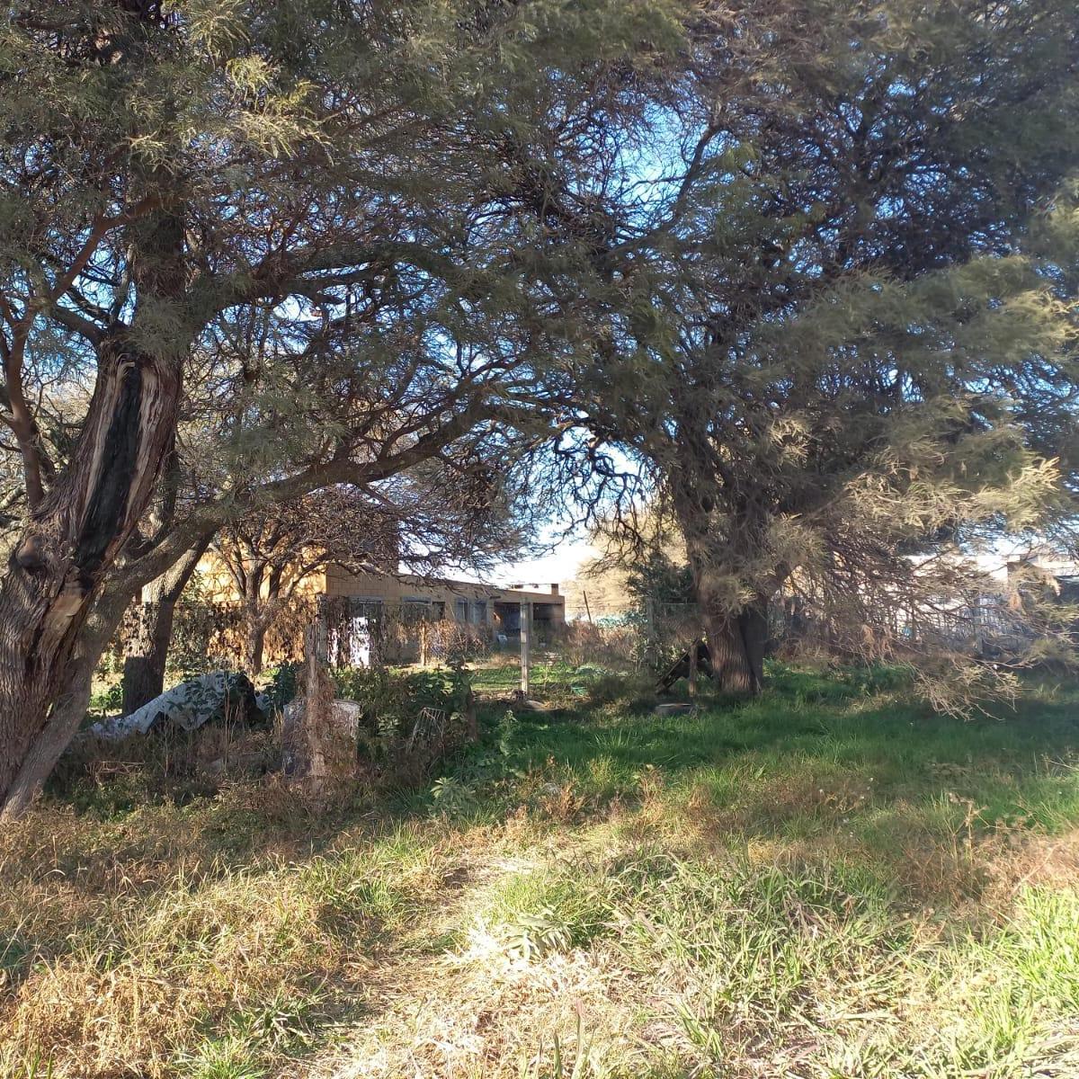 Casa en Villa San Isidro Calle Soler 5