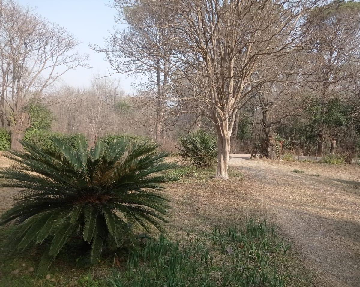 Casa con Predio de 1,5 Ha en Camino a Va. Buena Esperanza - Alta Gracia 1