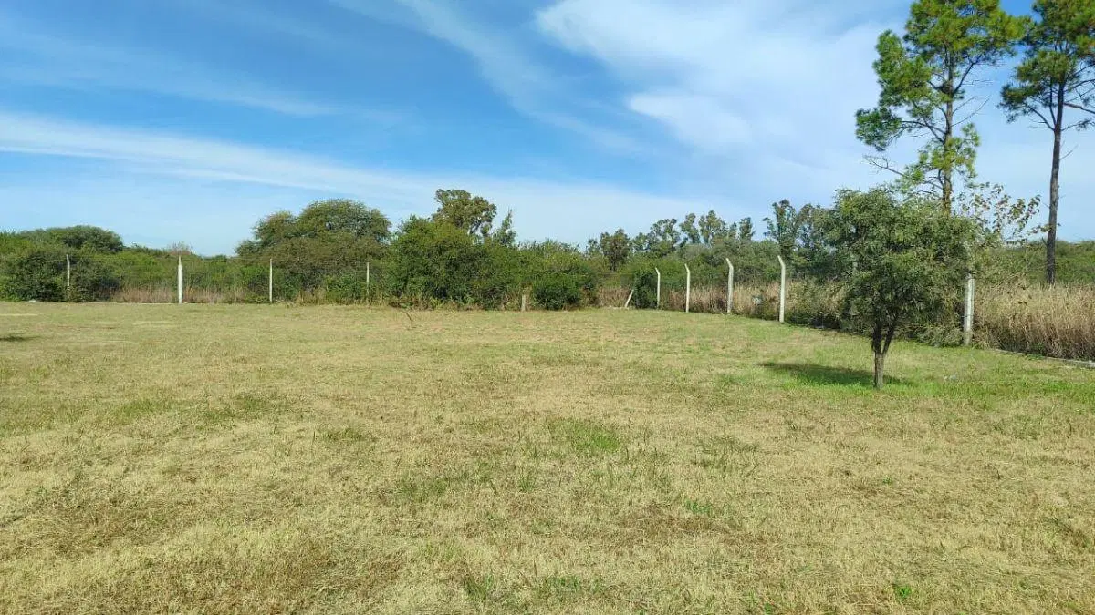 TRES LOTES EN PORTALES DEL TALA 4