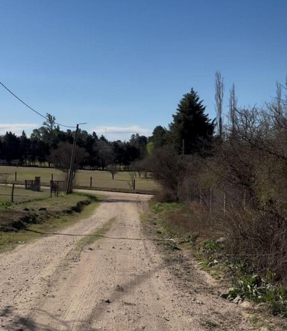 ÚLTIMOS LOTES EN LOTEO LA ILUSIÓN- VA LOS AROMOS A MTS RIO