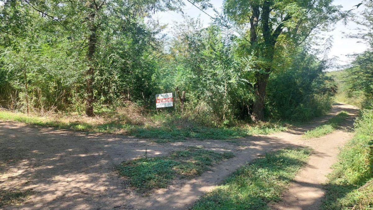 Foto de VENTA 3 LOTES EN JOSE DE LA QUINTANA, imagen 3