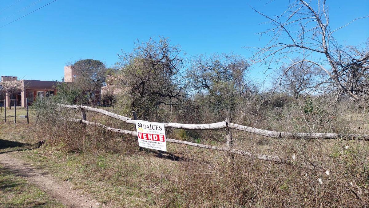 Foto de VENTA 3 LOTES EN JOSE DE LA QUINTANA, imagen 2