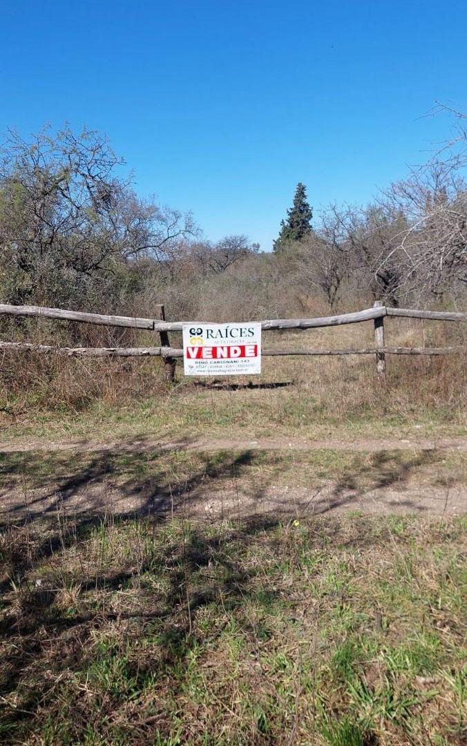 Foto de VENTA 3 LOTES EN JOSE DE LA QUINTANA, imagen 1