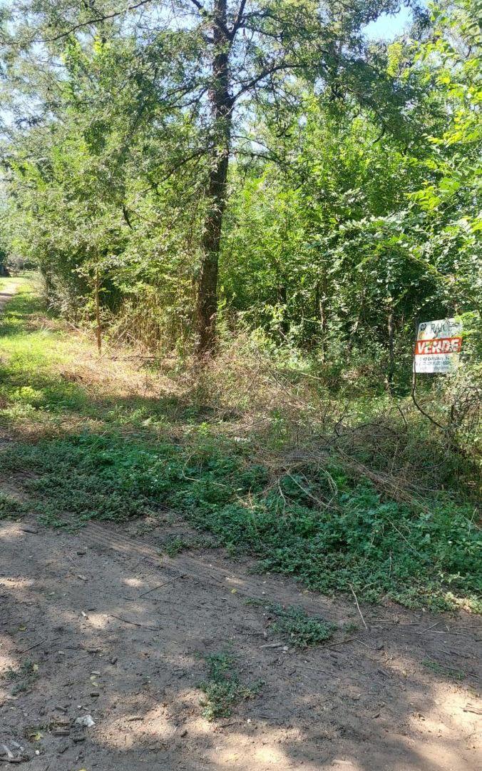 Foto de VENTA 3 LOTES EN JOSE DE LA QUINTANA, imagen 4