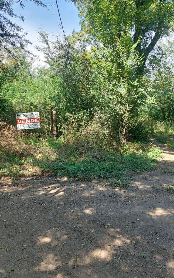Foto de VENTA 3 LOTES EN JOSE DE LA QUINTANA, imagen 5