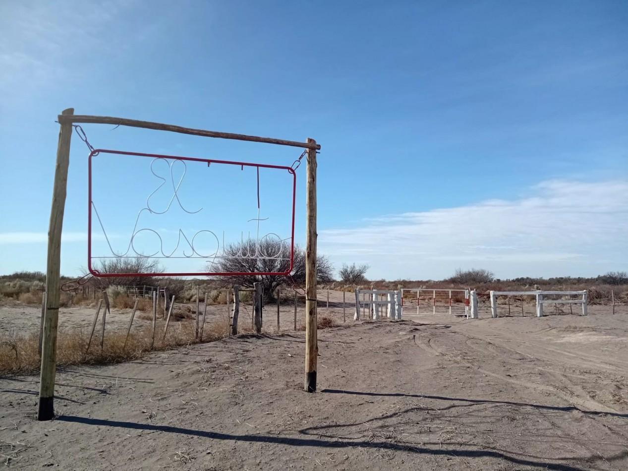 Foto de CAMPO GANADERO 3.400 HAS | SAN RAFAEL | MENDOZA | POTENCIAL PRODUCTIVO, imagen 4
