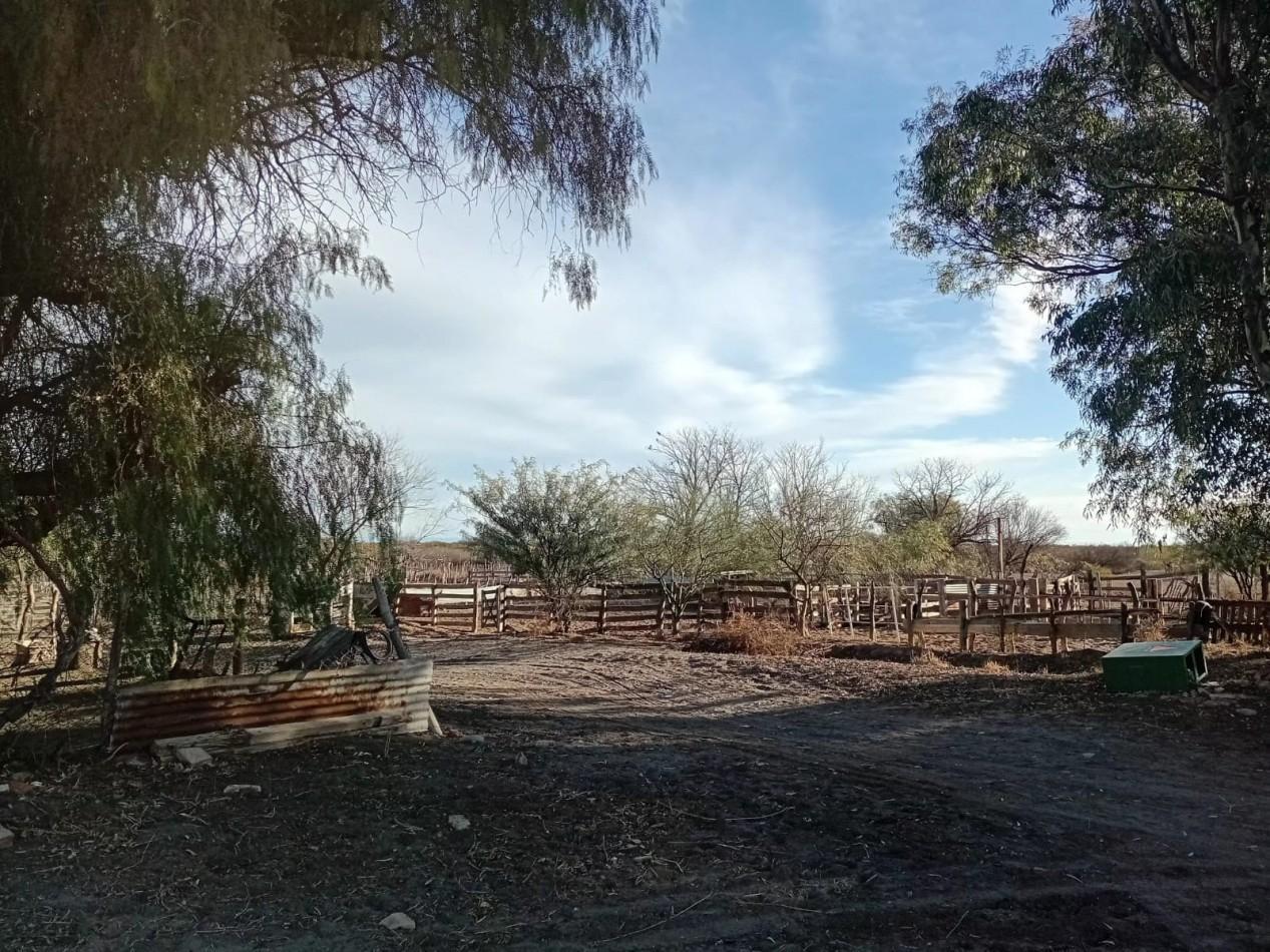 Foto de CAMPO GANADERO 3.400 HAS | SAN RAFAEL | MENDOZA | POTENCIAL PRODUCTIVO, imagen 1