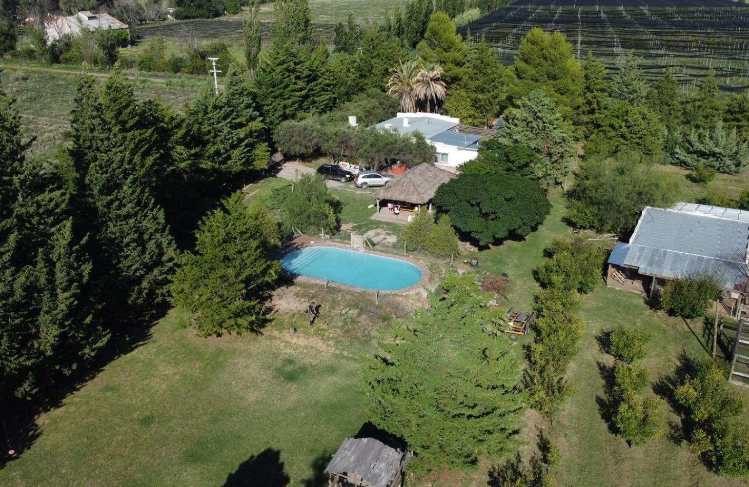 Foto de FINCA 7,75 HECTAREAS | CASA, PILETA Y 5 HECTAREAS LIBRES | SAN RAFAEL, imagen 3
