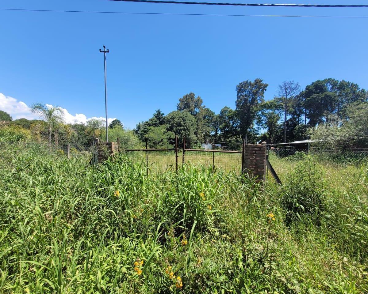 Foto de 2Terrenos en Rincon, imagen 5