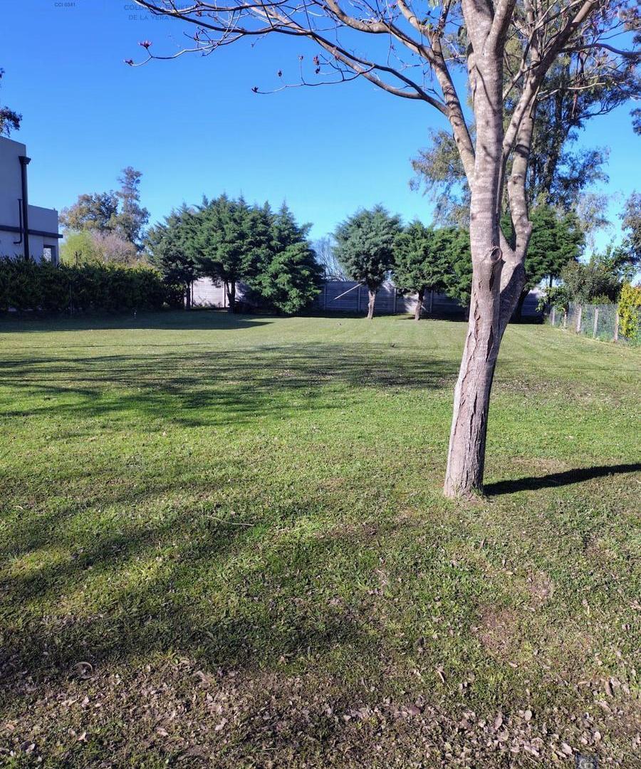Terreno en Los Molinos