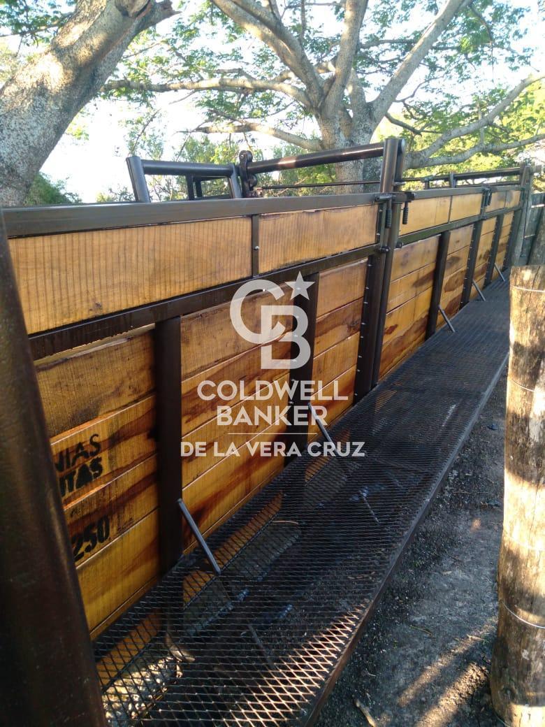 ALQUILER-EXCELENTE CAMPO GANADERIA DE CRIA