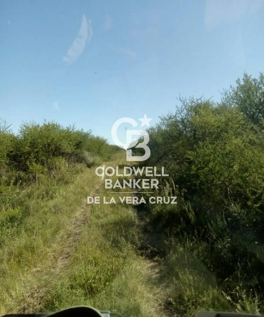 ALQUILER-EXCELENTE CAMPO GANADERIA DE CRIA 1