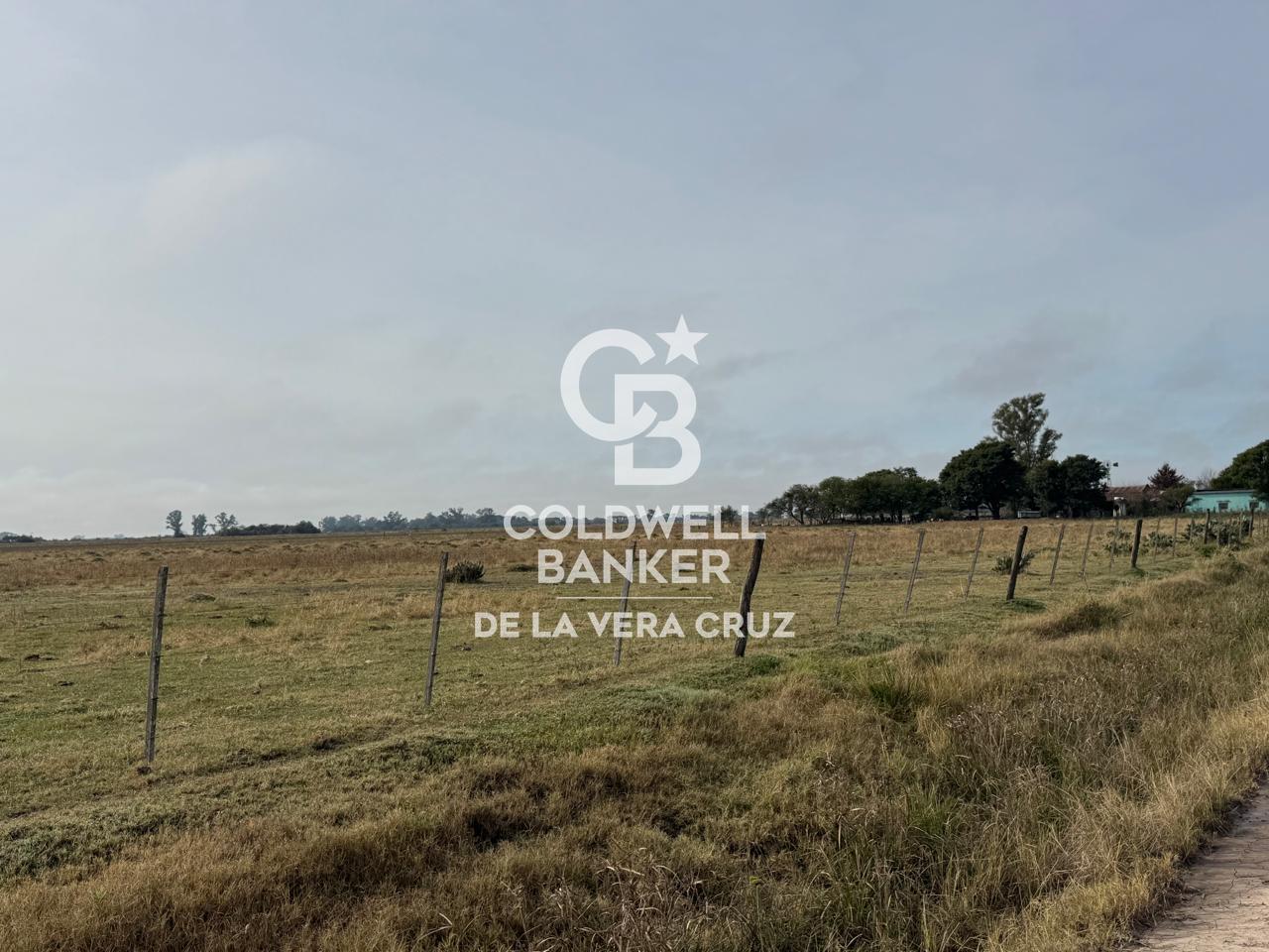 Foto de Campo en San Cristobal, imagen 1