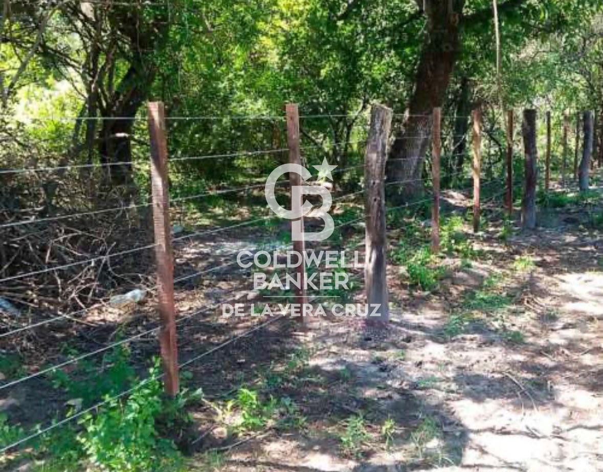 Foto de Alquiler Campo Ganadero Colonia Silva, Depto San Justo, imagen 3