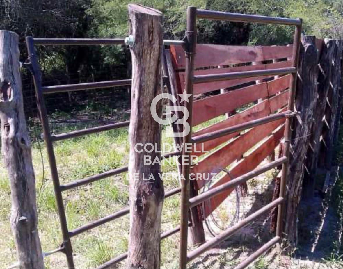 Foto de Alquiler Campo Ganadero Colonia Silva, Depto San Justo, imagen 4