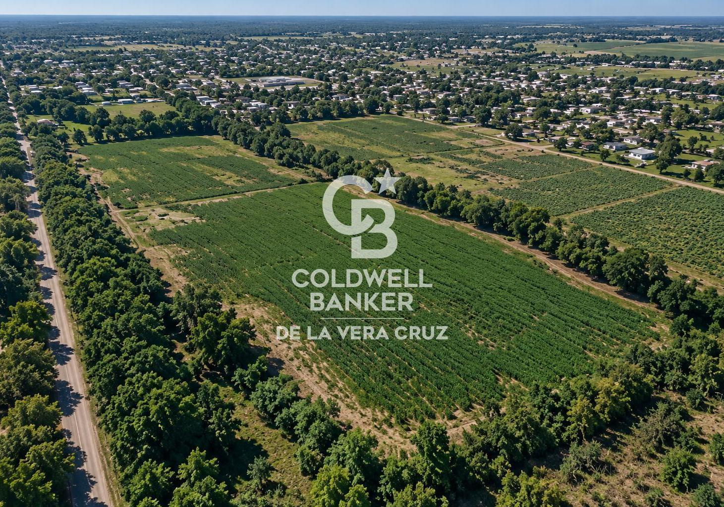 Foto de Terreno de 19.980 m² en venta – Selva de Montiel, Paraná, imagen 4