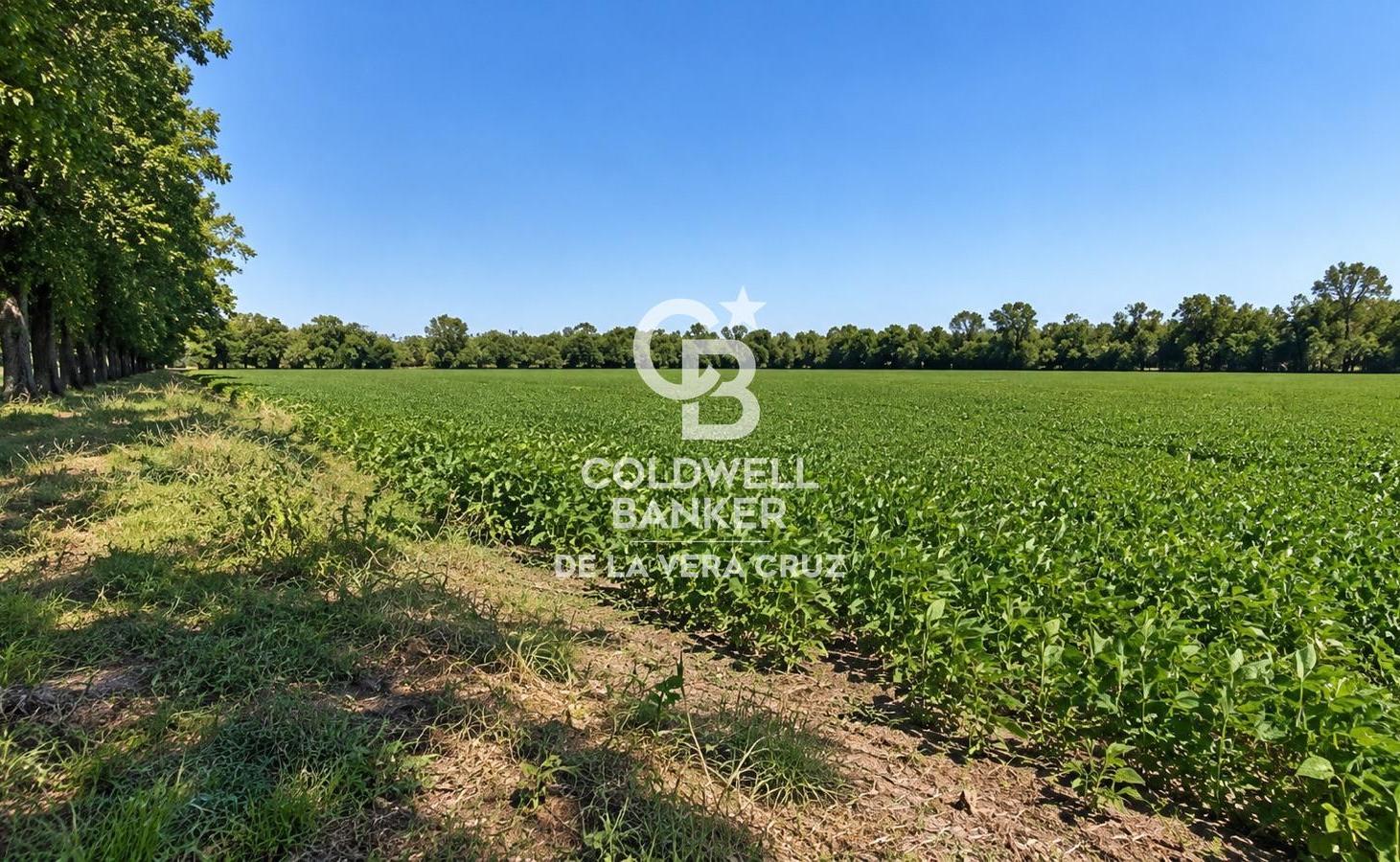 Foto de Terreno de 19.980 m² en venta – Selva de Montiel, Paraná, imagen 1
