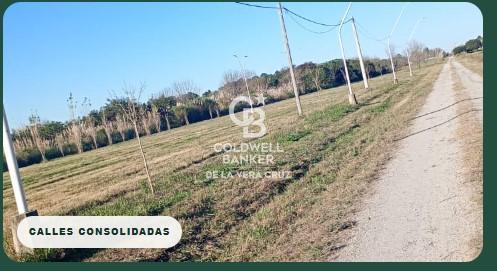 Foto de Terreno Caima, imagen 5