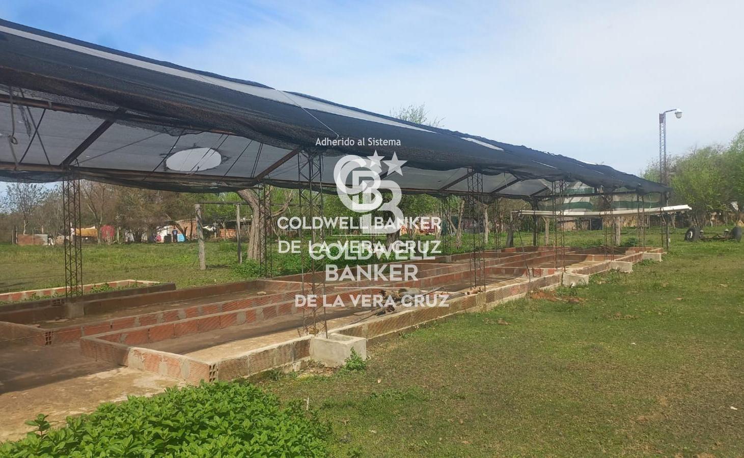 Foto de Terreno comercial en San Javier, imagen 1