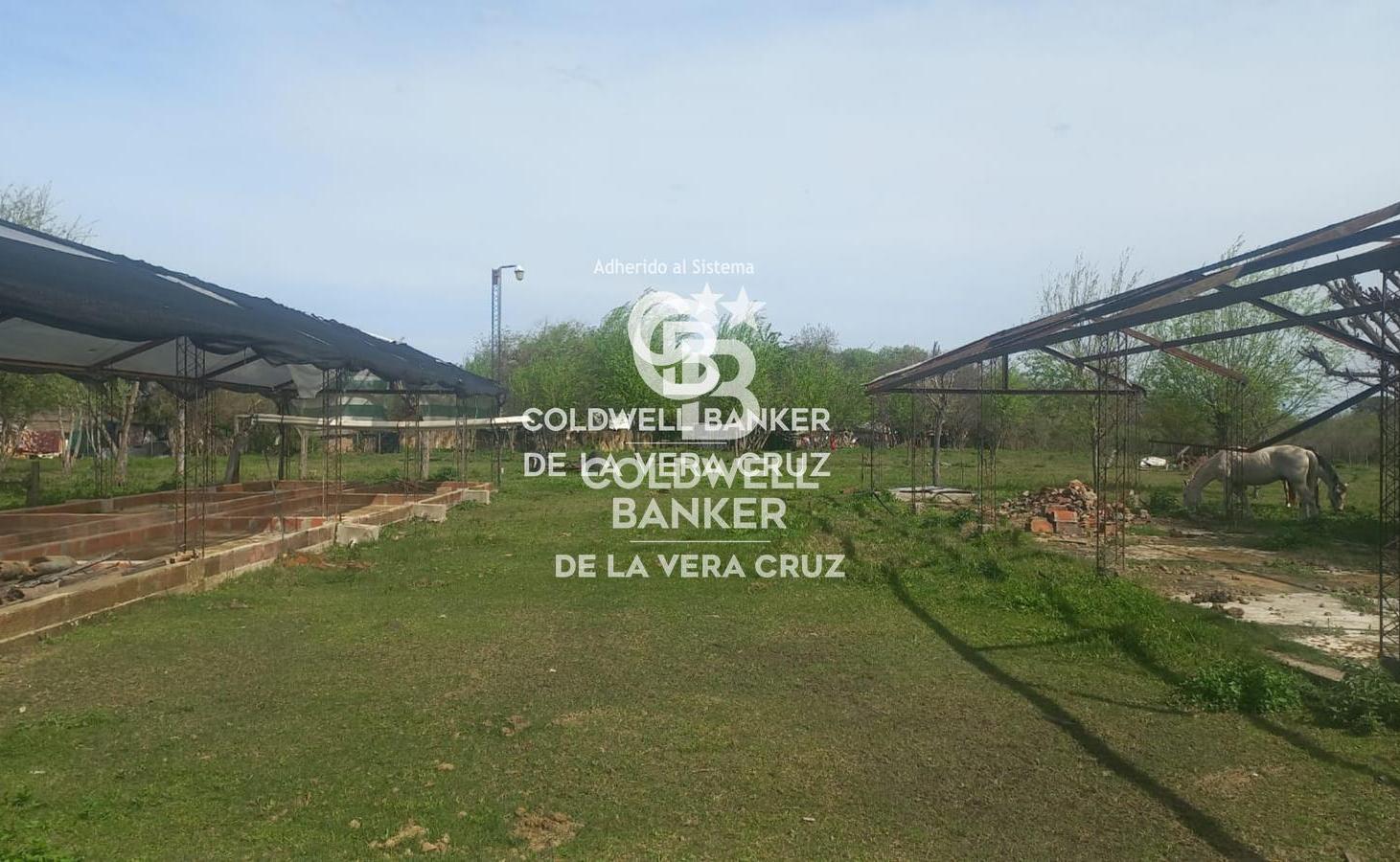 Foto de Terreno comercial en San Javier, imagen 3