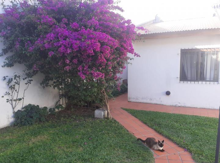 CASA EN VENTA EN SAN ANDRES 4AMB. + QUINCHO 3