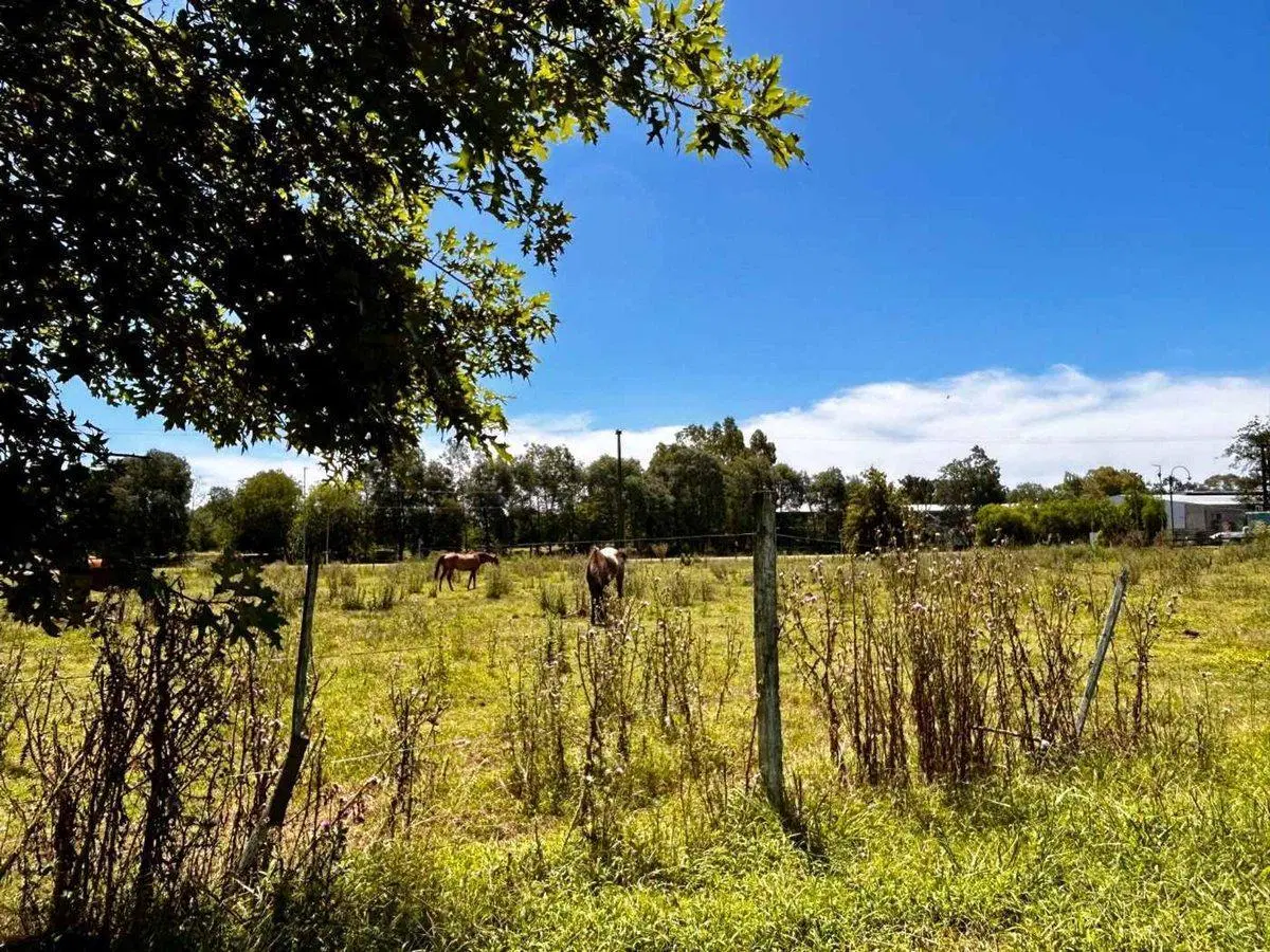 Venta 15 lotes c/ subdivisión entrada Carlos Keen 3