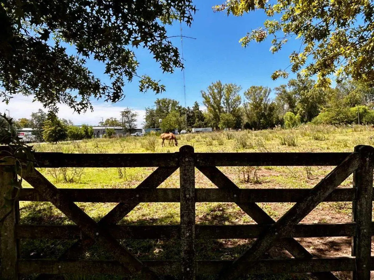 Venta 15 lotes c/ subdivisión entrada Carlos Keen 5