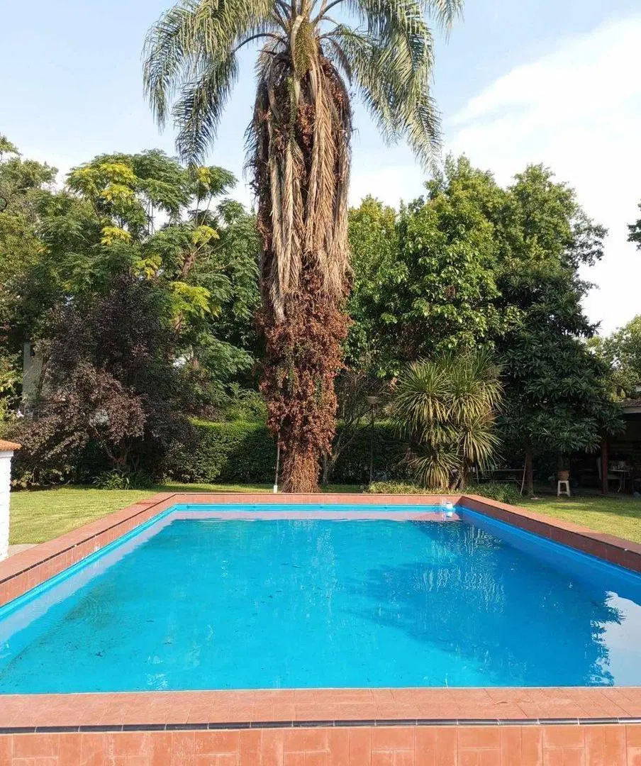 VENTA CASA QUINTA MULTIFAMILIAR 1700m2 YEI PORA 2